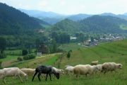 Sromowce Niżne , Pieniny